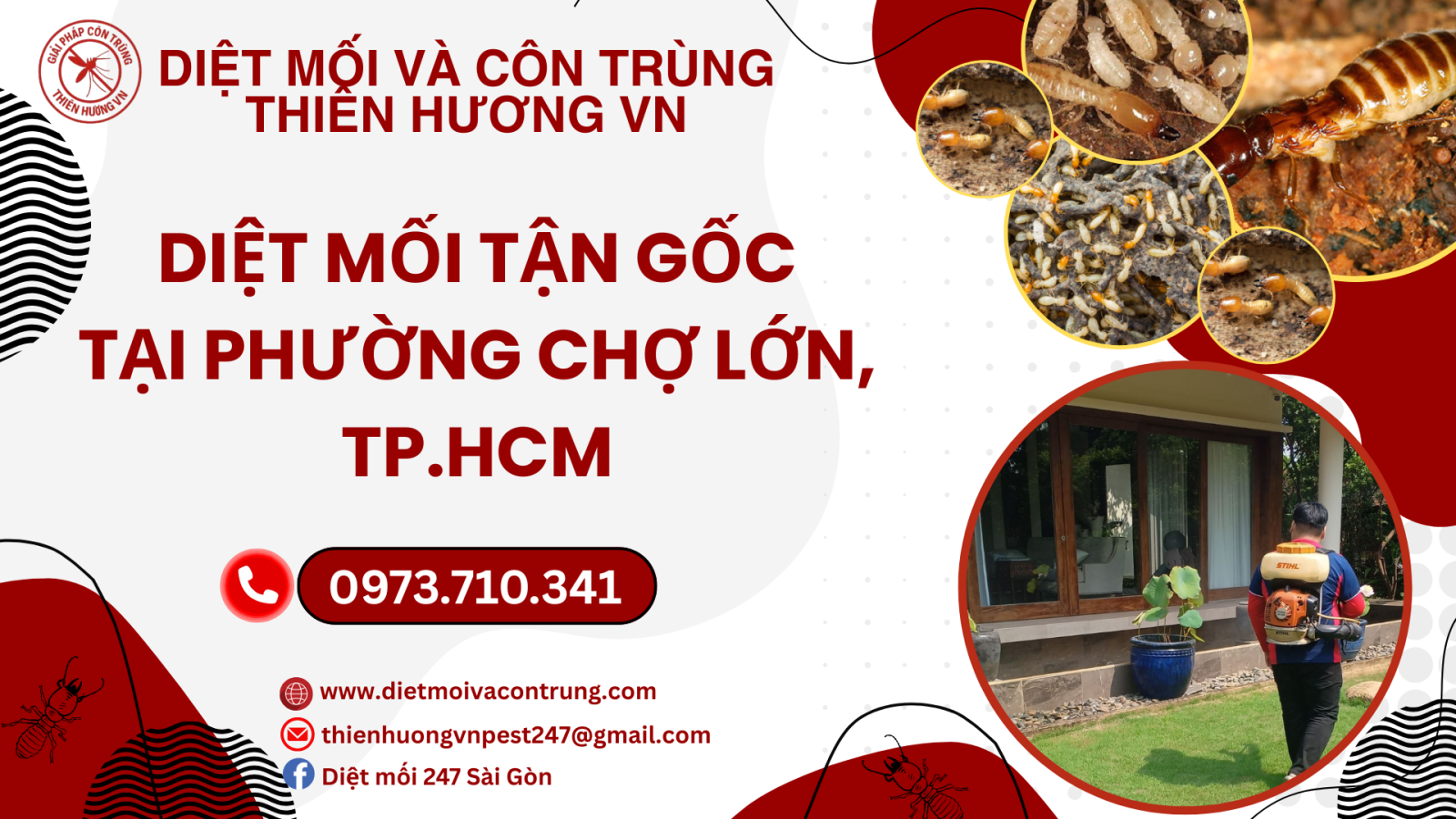 Diệt mối tận gốc tại phường Chợ Lớn, TP.HCM