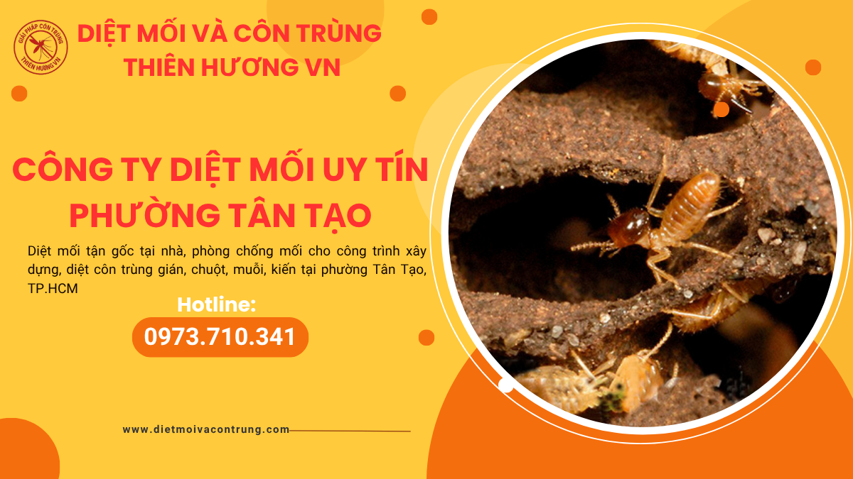 Công ty diệt mối uy tín phường Tân Tạo 