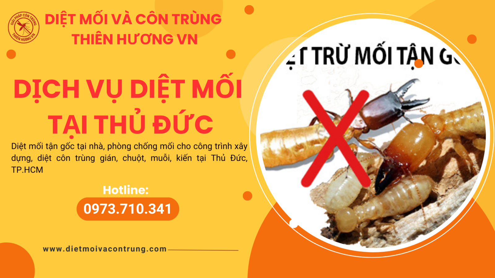 Dịch vụ diệt mối tại Thủ Đức