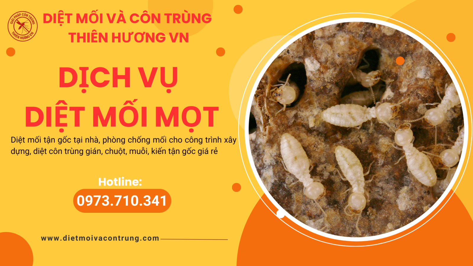 Dịch vụ diệt mối mọt: DIỆT MỐI VÀ CÔN TRÙNG THIÊN HƯƠNG VN