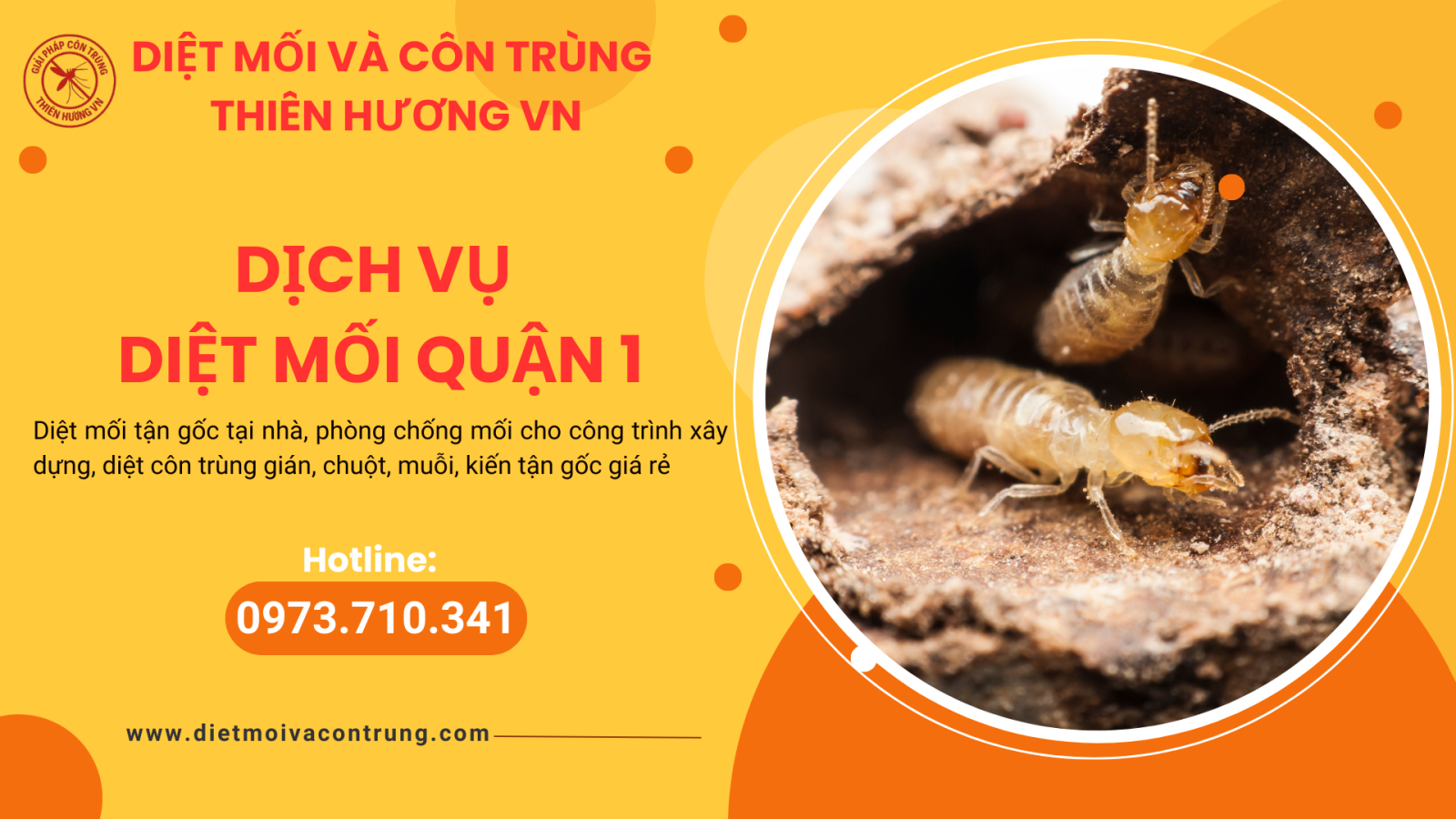 Dịch vụ diệt mối quận 1
