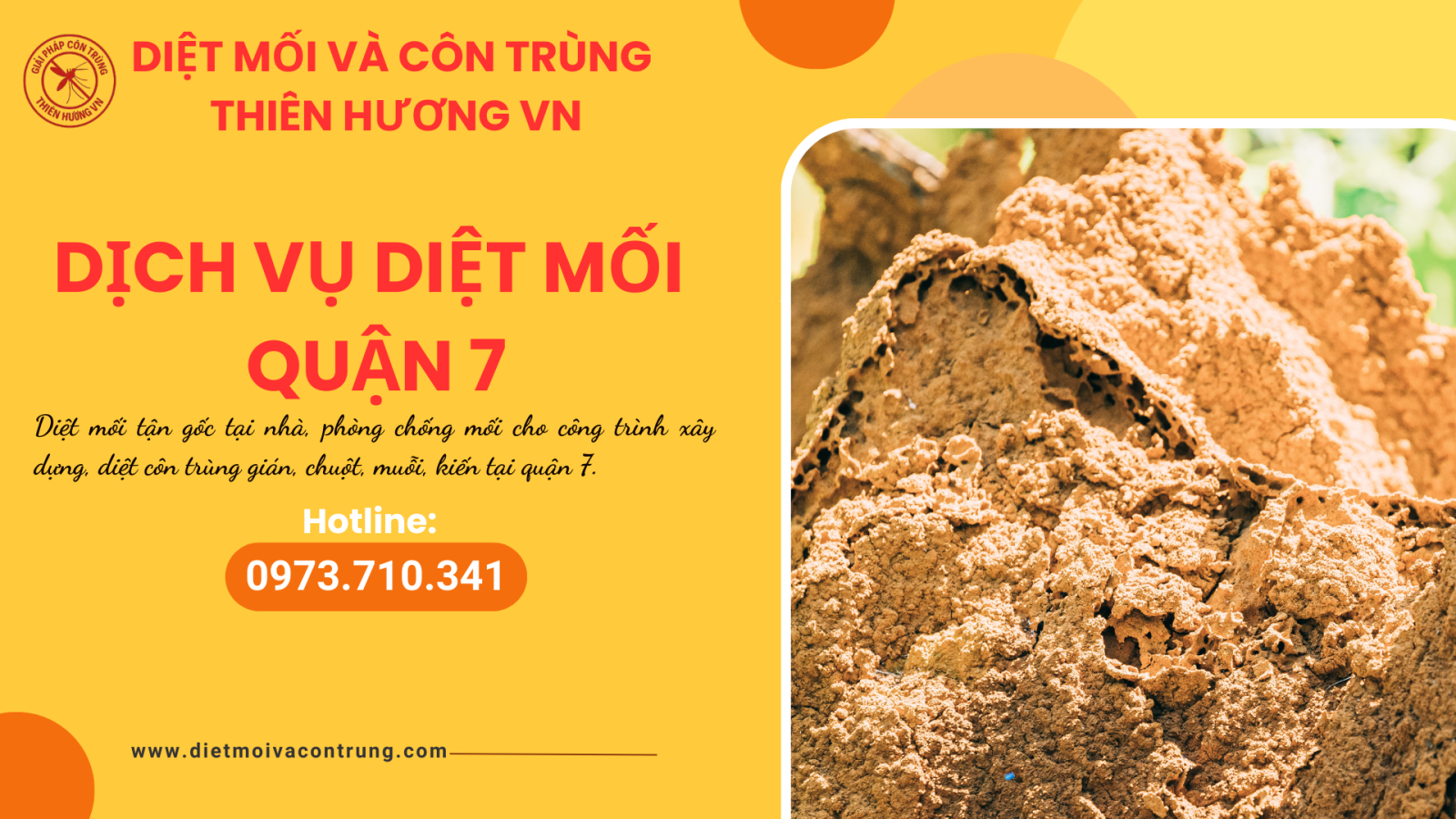 Dịch vụ diệt mối quận 7