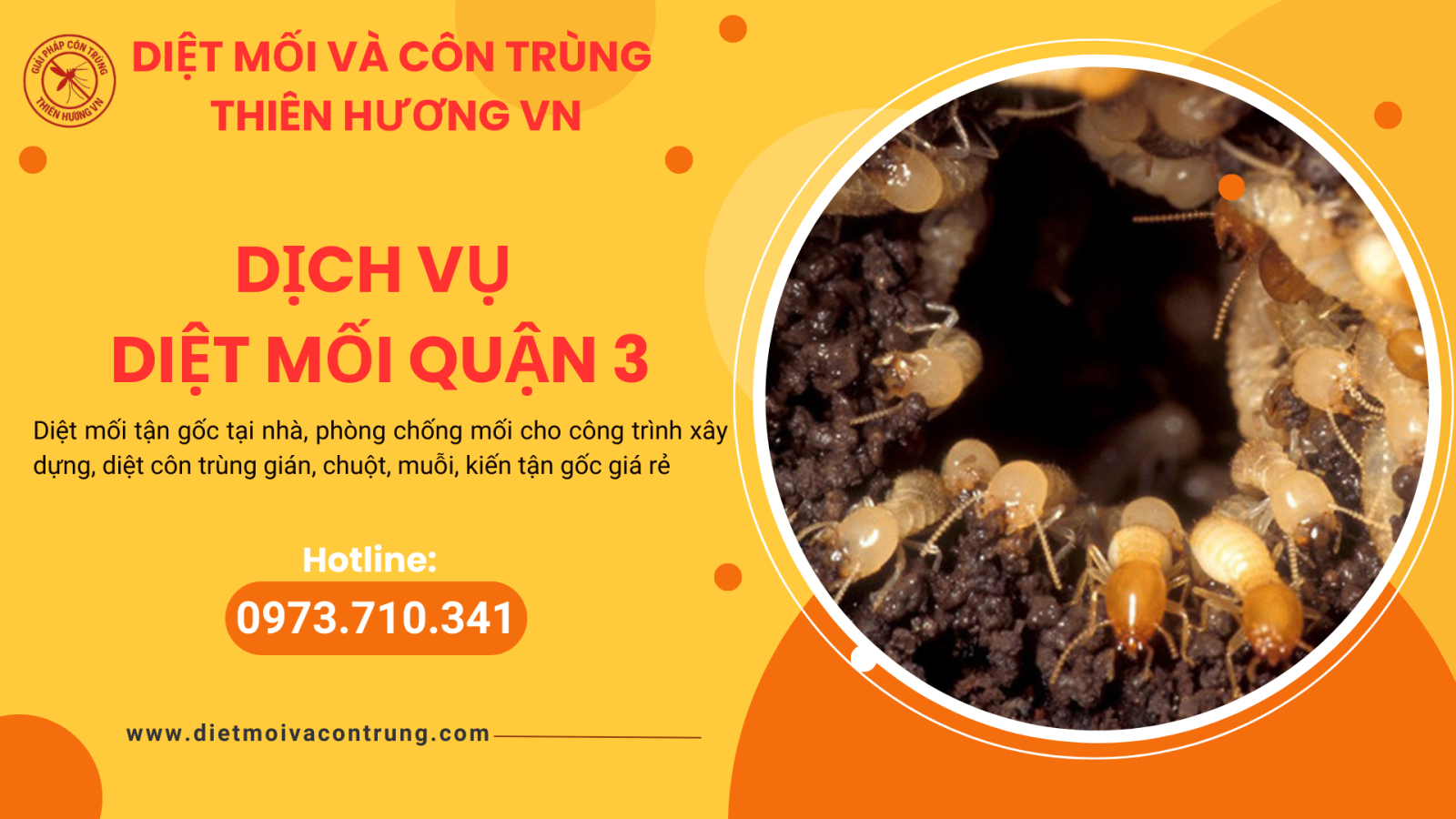 Dịch vụ diệt mối quận 3 