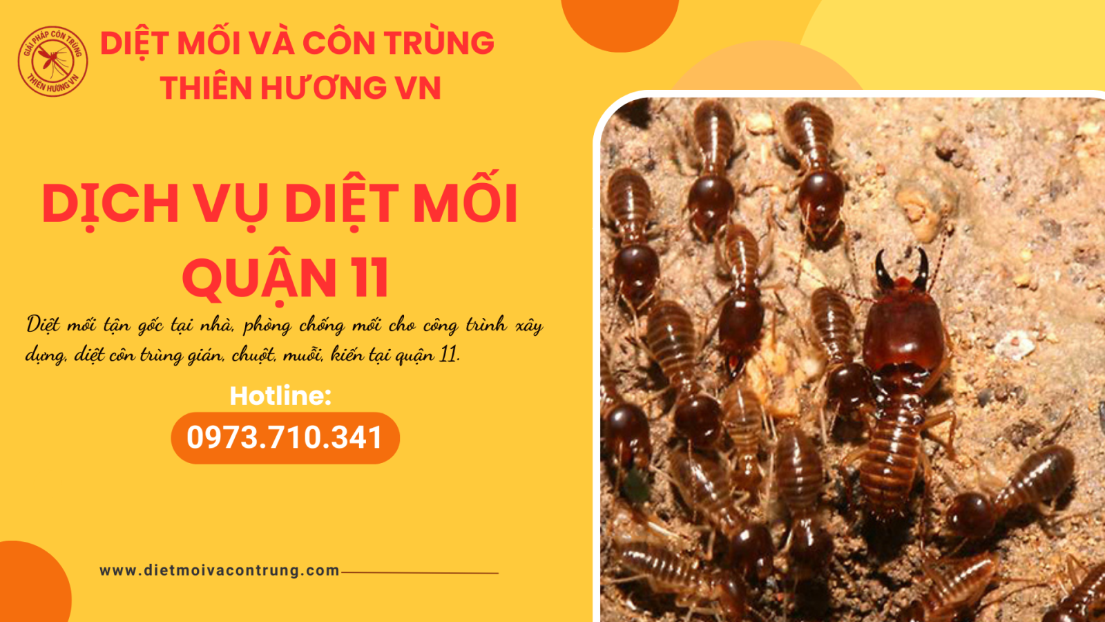 Dịch vụ diệt mối quận 11