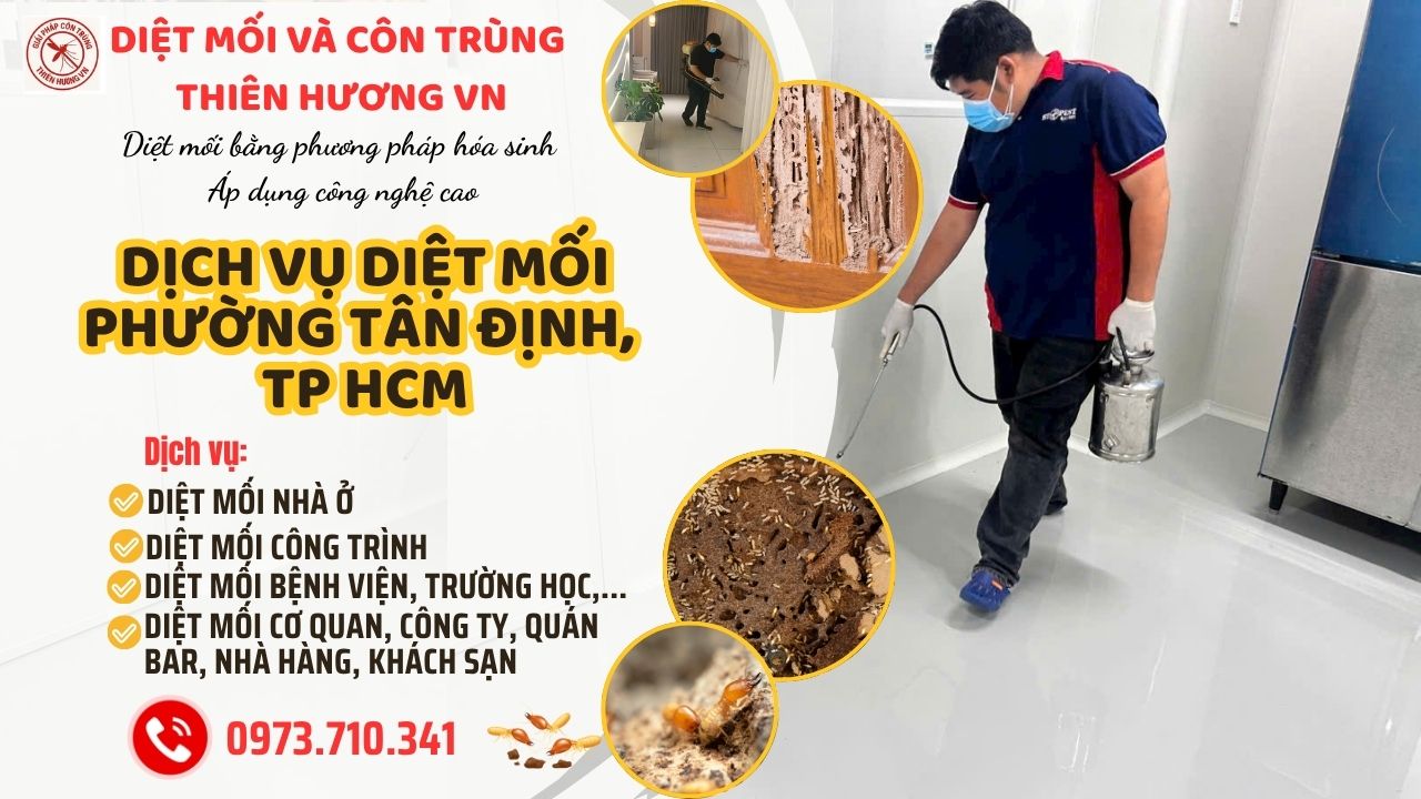 Giới thiệu dịch vụ diệt mối phường Tân Định, TP.HCM của Thiên Hương BIO