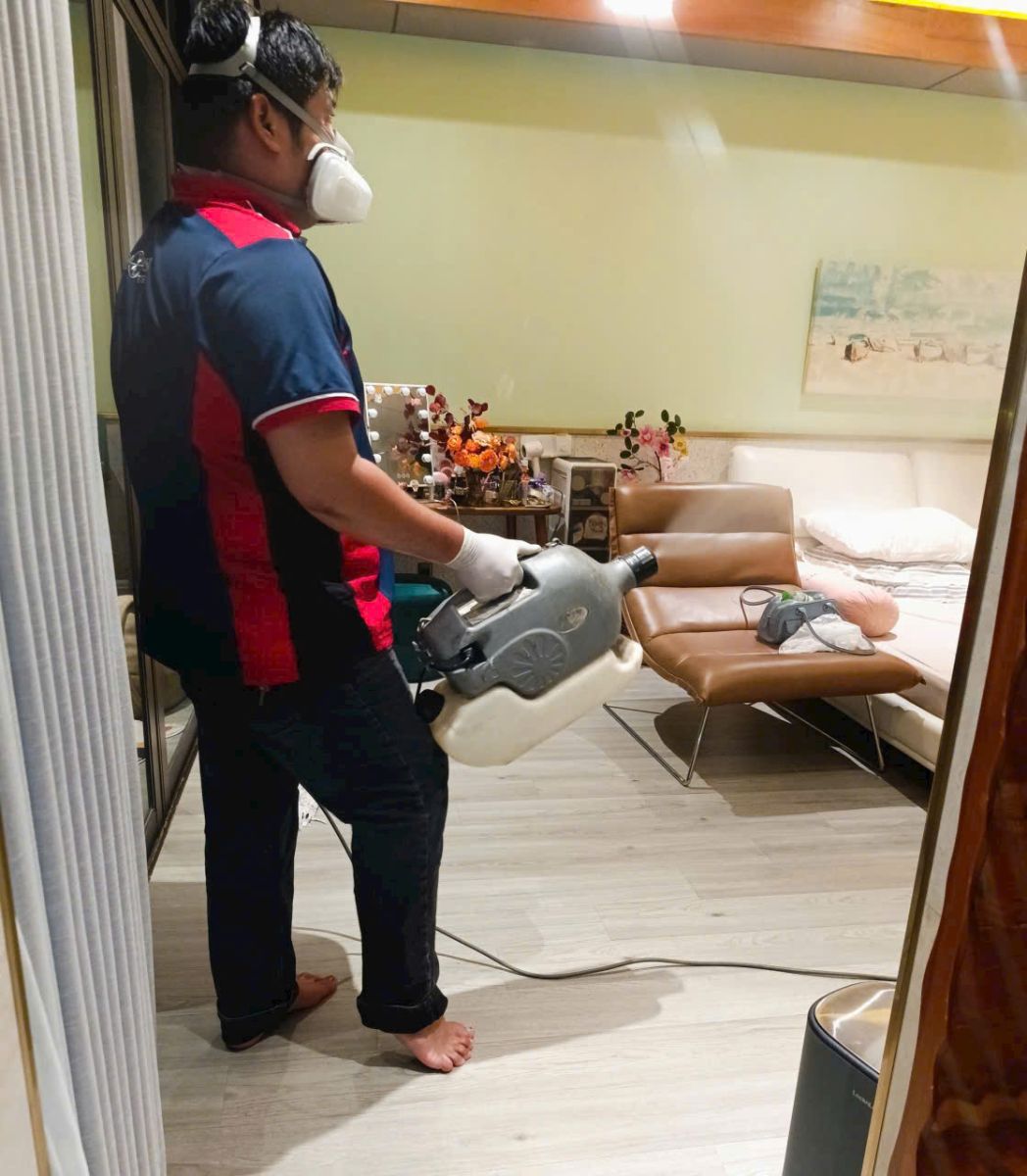 Quy trình thực hiện dịch vụ phun muỗi tại TPHCM