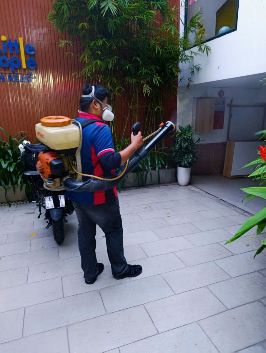 Dịch vụ phun muỗi tại TPHCM của Thiên Hương VN