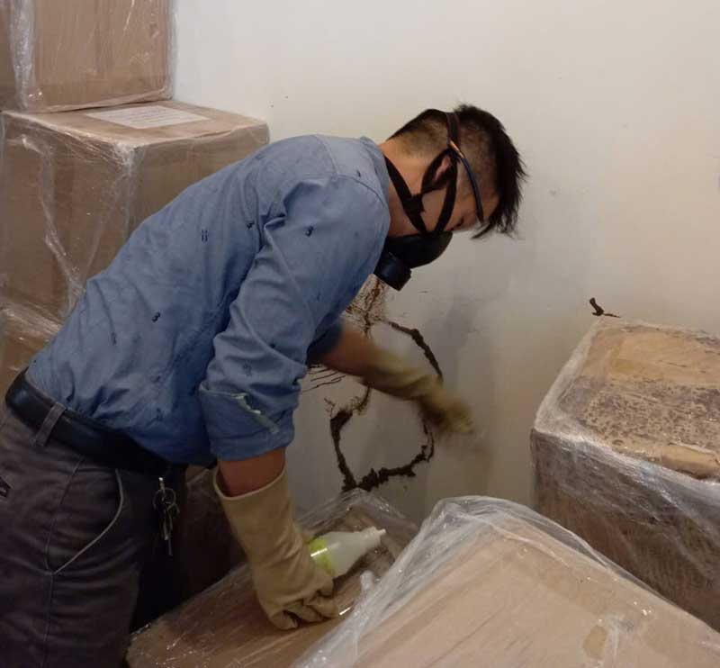 Diệt mối tại Quận 12
