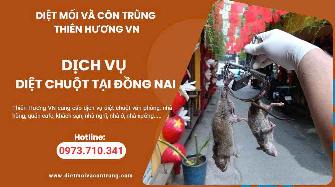 dịch vụ diệt chuột tại Đồng Nai