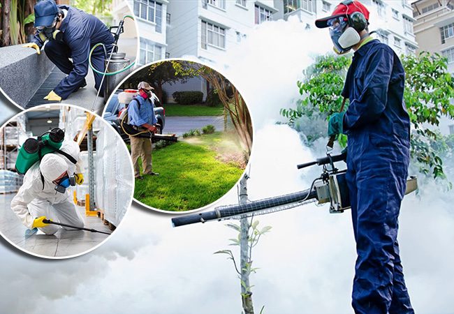 Dịch vụ diệt muỗi: Thiên Hương BIO