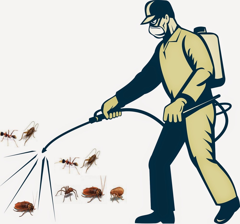 Dịch vụ diệt gián: Thiên Hương BIO