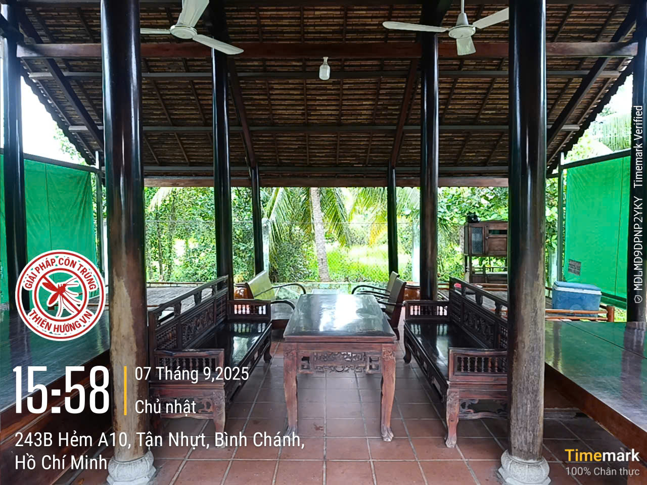 Diệt mối giá bao nhiêu tiền
