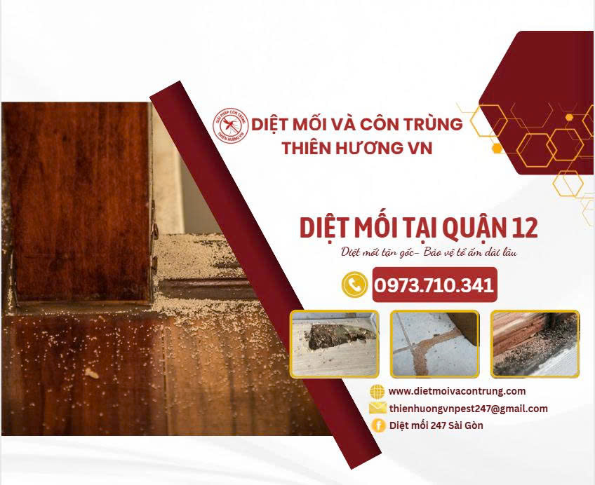 Diệt mối tại Quận 12