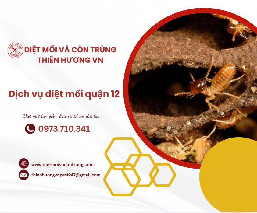 Dịch vụ diệt mối Quận 12